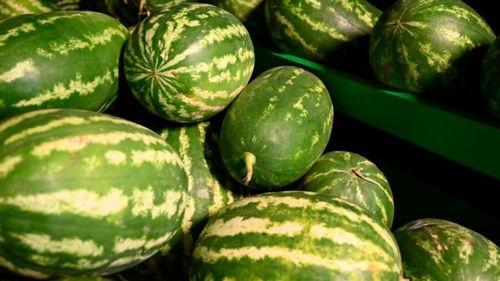 内蒙吃瓜网红事件,揭秘网络舆论的风暴与反思